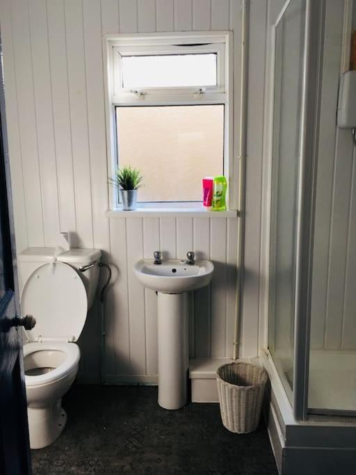 Hillcrest Cottage, Comfy Flat, Trendy Uplands Area Swansea Exterior foto